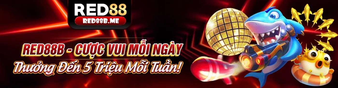 Nghiên cứu thông tin trận đấu